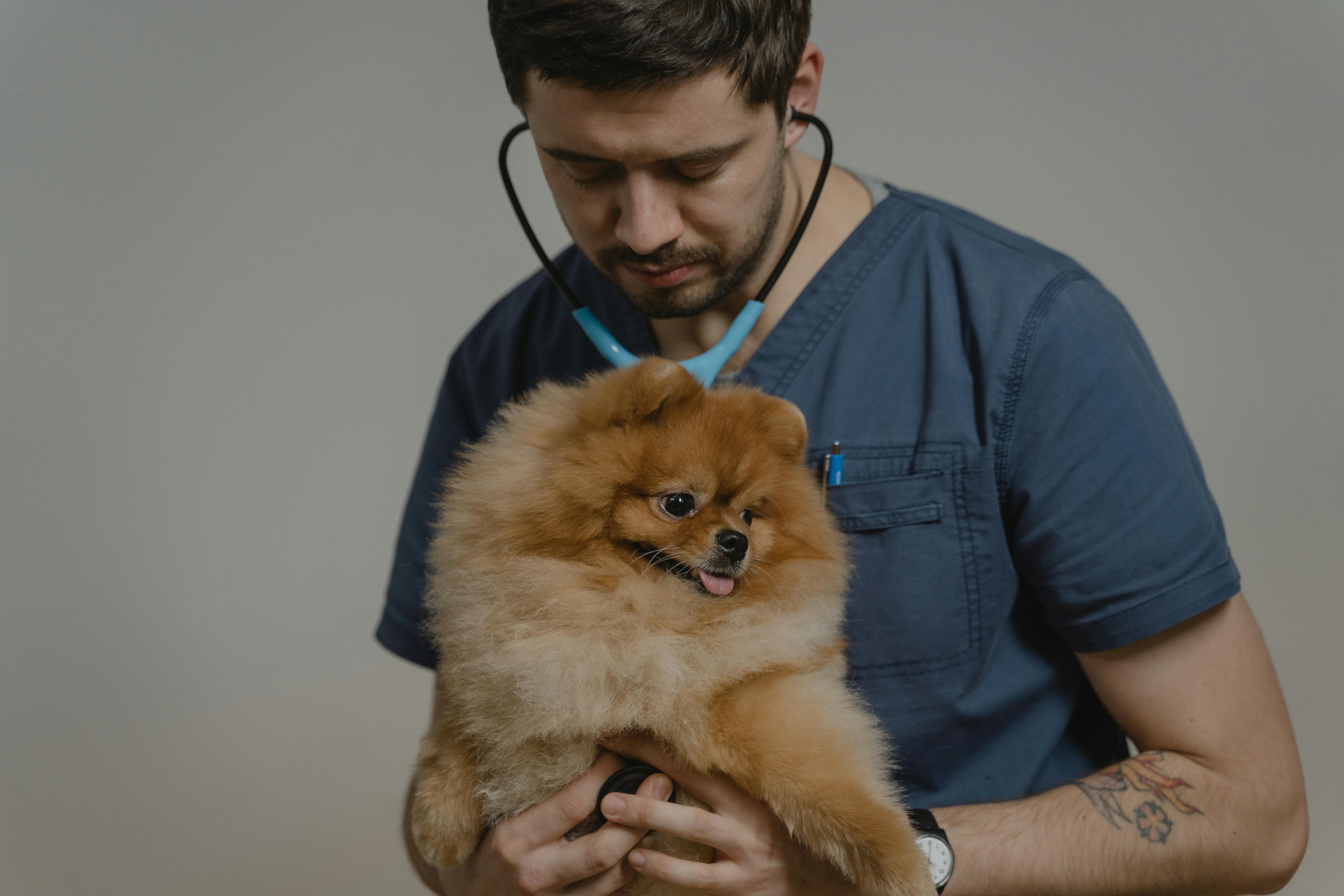 Clinique veterinaire a Casablanca