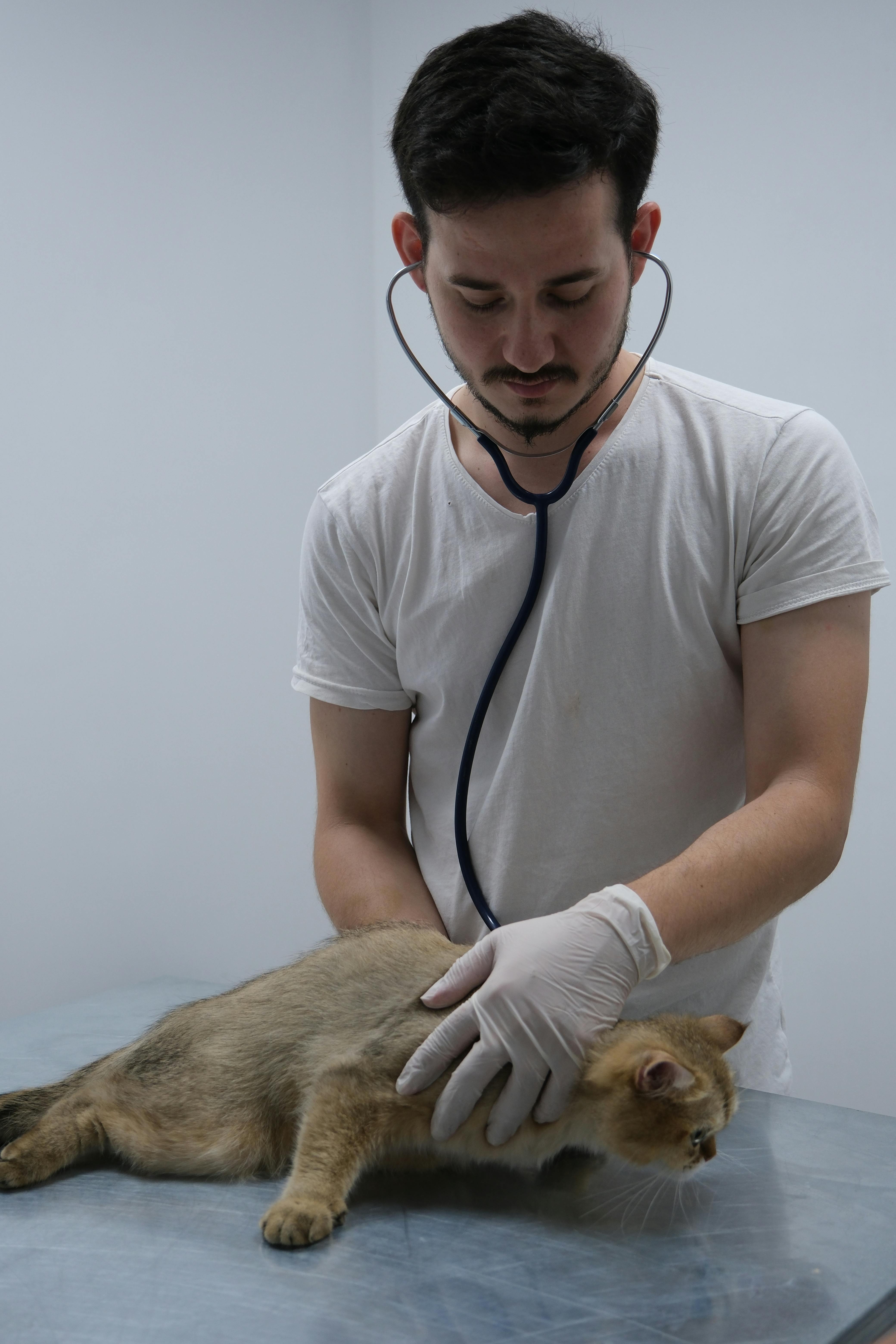 Prevention & vaccins